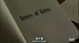 紐約傳奇 圖1