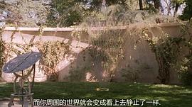 時(shí)光駭客國(guó)語(yǔ) 圖8