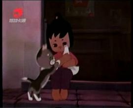 小白鴿 圖3