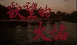 欲望的火焰 圖10