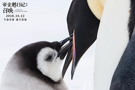 企鹅日记电影 图2