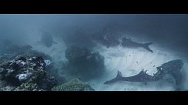 电影深海巨鲨3大结局 图9
