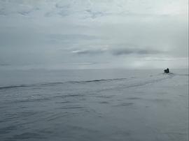 捕鲸鱼炼鲸油的电影 图8