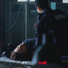 幸福46集免費(fèi)觀看 圖4
