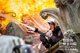 燃燒的巴黎圣母院 圖4