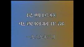 人皮 圖3