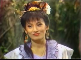 飛花逐月 圖9