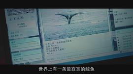 陪安東尼度過漫長歲月 圖9