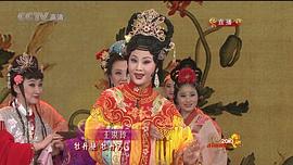 2010年中央電視臺春節(jié)聯(lián)歡晚會 圖10