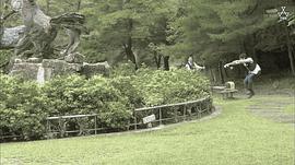 科搜研之女 第16季 圖7