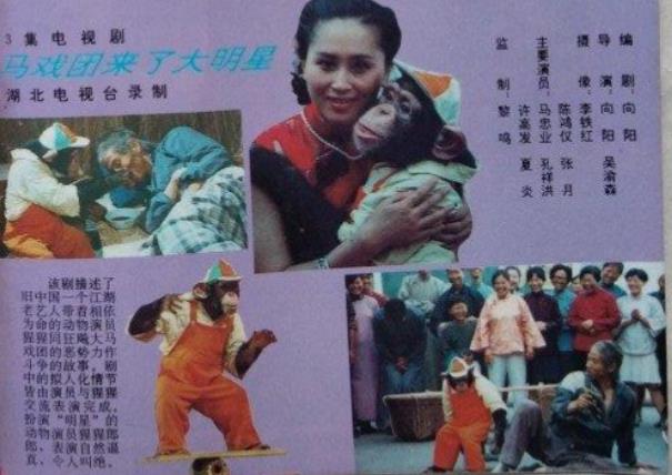 馬戲團(tuán)來了大明星