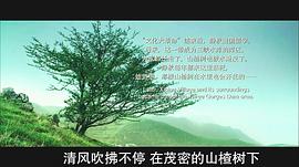 山楂树之恋免费观看完电视剧 图5