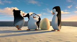 播放企鹅的电影 图10