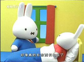 米菲和朋友們 圖10