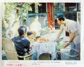 中國的“小皇帝” 圖3