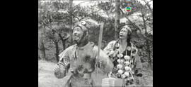 孫悟空七打九尾狐 圖7