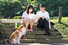 今日份的散步 圖10