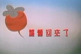 蘿卜回來了 圖2