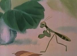 奇怪的病號 圖5