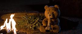 泰迪熊2 图6
