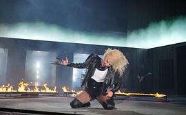 Lady Gaga：神彩巡回演唱会 图8