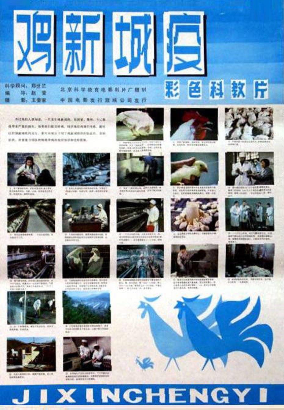 雞新城疫