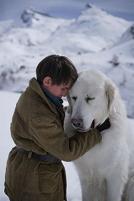 靈犬雪莉第二季在線觀看 圖3