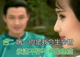 梅花三弄之梅花烙 圖4