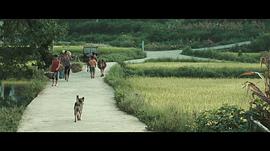 矮婆 圖8