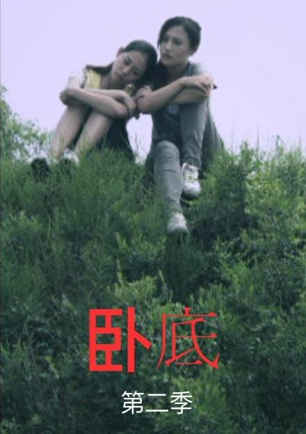 臥底前傳之姐妹篇