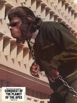 关于猴子的外国老电影 图4