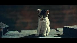 猛龙过江 图4