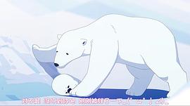 有一个傻傻的北极熊的动画 图10