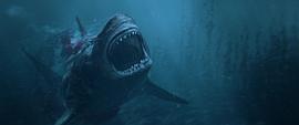 巨齿鲨 图5