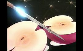 雙星記 圖8