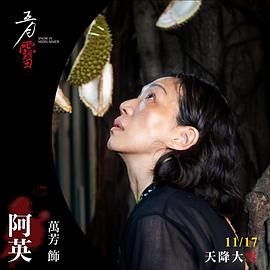 五月雪 圖2