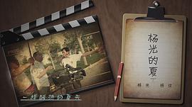 楊光的夏天 圖7