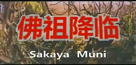 釋迦牟尼 圖8
