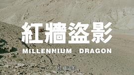 紅墻盜影 圖9