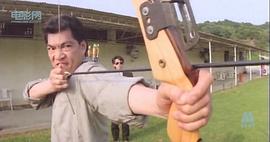 90年代香港经典警匪电影 图3