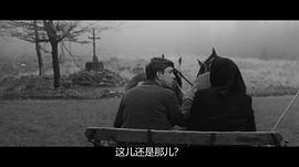 維也納快車 圖9