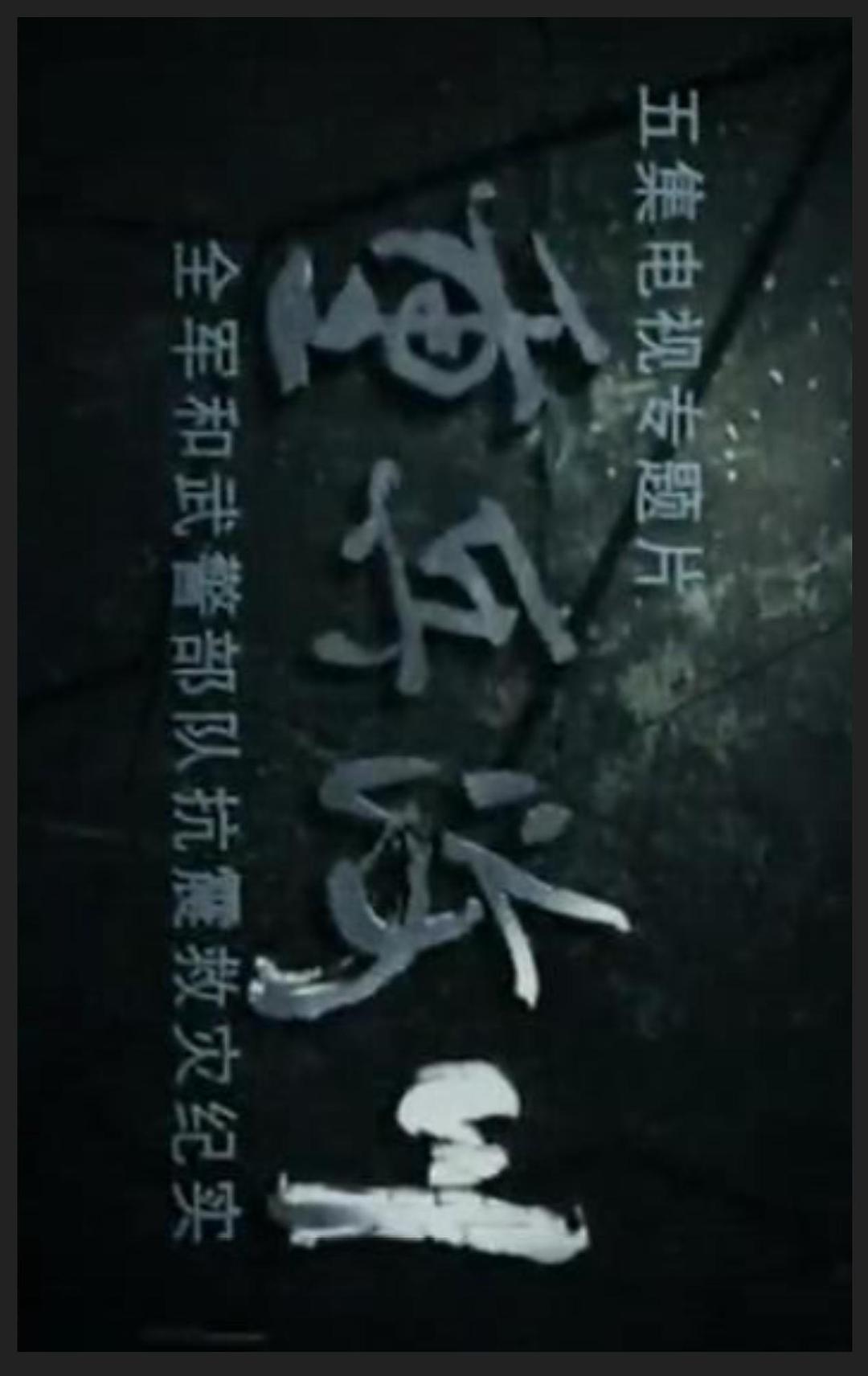 重兵汶川——全軍和武警部隊(duì)抗震救災(zāi)紀(jì)實(shí)