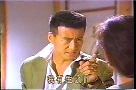 希望之鴿 圖4