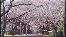莎拉公主 圖1