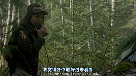 森林里熊吃人的电影 图9