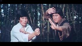 老虎田雞 圖4