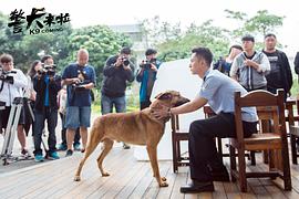 警犬來啦 圖10
