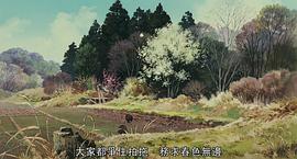 百變貍貓 圖9