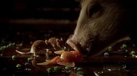 讲小猪的电影 图2