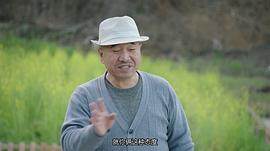 乡村爱情11全集60集免费观看 图4